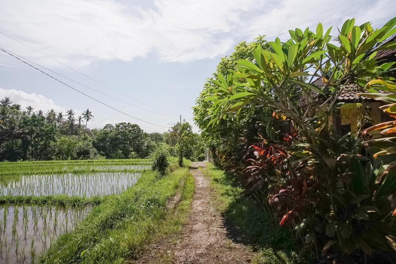 Mejan Home Stay Balian Zewnętrze zdjęcie