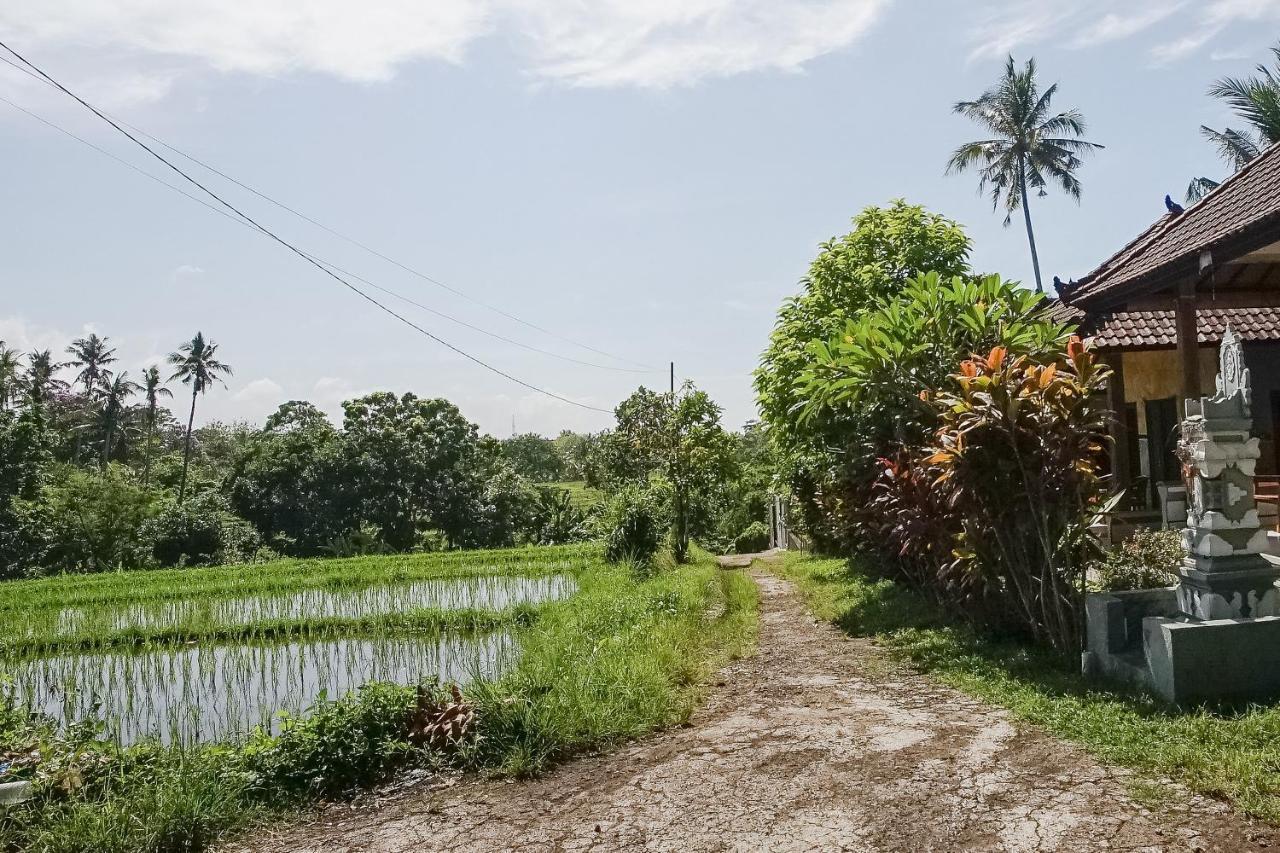 Mejan Home Stay Balian Zewnętrze zdjęcie